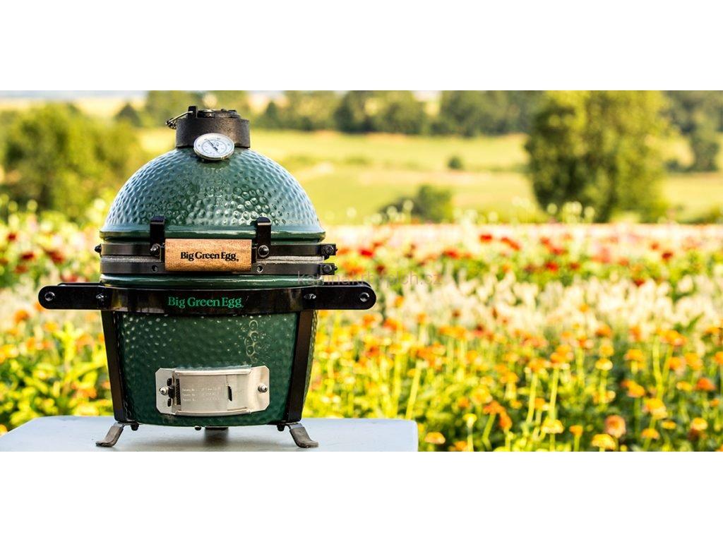 Gril Big Green Egg Mini